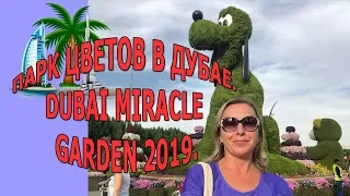 Парк цветов в Дубае 2019 влог|Miracle Garden Dubai 2019