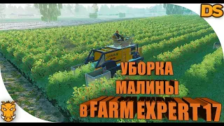 Посадка и уборка малины в Farm Expert 17 / Сравнение с Farming Simulator