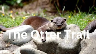 Garden Route, The Otter Trail Hike