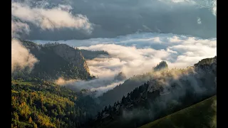 ‼️🎺🕊Россия 2019. Грядут перемены. Но верных Я сохраню. Ещё увидите силу Мою..Пророчество. Голод