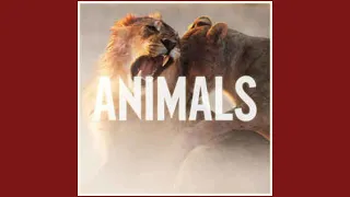 Animals - Maroon 5 (Deep Version)