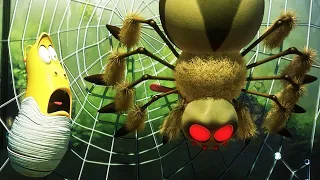 LARVA - SPIDER | Cartoon Movie | Videos For Kids | Larva Cartoon | LARVA Official