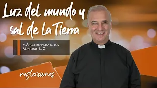 Luz del mundo y sal de la Tierra- Padre Ángel Espinosa de los Monteros