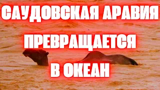 Пустыня превращается в океан в Саудовской Аравии! Сильные дожди смывают Мекку