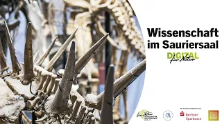 Wissenschaft im Sauriersaal: Die Reise unserer Gene