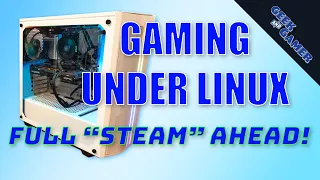 All your Steam Games on Linux?! Linux Gaming made Easy!