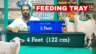 Feeding Tray for Goat, Sheep & Cattle 4 Feet & 2 Feet