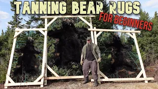 DIY Easy Beginner Bear Tanning for Rugs