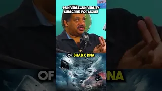 The Sharknado 6 Cameo w/ Neil DeGrasse Tyson