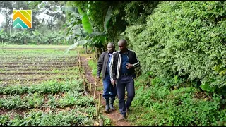 Solar powered irrigation — Achieving Water and Food security in the Vihiga County, Kenya