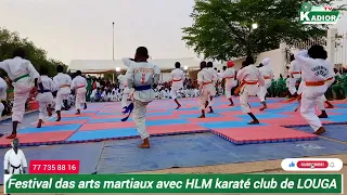 festival das arts martiaux avec HLM karaté club