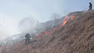 Ролик   Пал травы