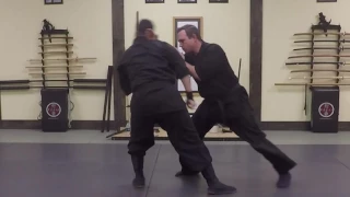 Hicho no Kamae Kihon Gata "Crane Posture Fundamental Example"