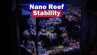 Nano Reef Tank Stability - How to keep a nano saltwater aquarium stable!