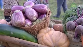 На Подворье в селе Сумароково Фестиваль аграрного дела, ремёсел и культуры села