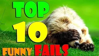 Top 10 funny fails 2015.ТОП Приколов 2015 фэйлы.Топ фэйлы. Top 5 free funny fails videos may 2015