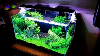 HOW TO:  Have a Amazing Planted Aquarium Without Co2