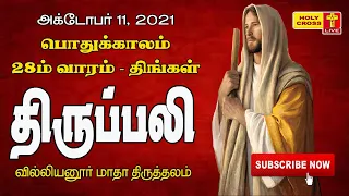 11-10-2021 Tamil Mass | Villianur Lourdes Shrine | Holy Cross Tv | Daily Tv Mass | Today Mass