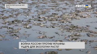 💥 Военный экоцид: украинская экология страдает от агрессии РФ более 500 дней