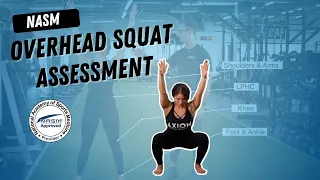 NASM Overhead Squat Assessment || How to do it AND Real World Application