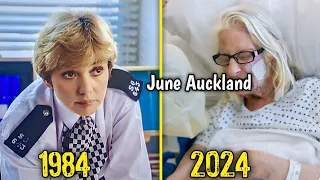 The Bill 1984 Cast Then And Now 2024 | 1984Vs2024 | The Actors Have Aged Horribly