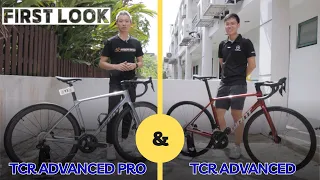 First Look at All New 2025 Giant TCR Advanced and Advanced Pro - 10th Generation