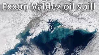 The Exxon Valdez oil spill