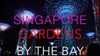 The show FANTASTIC GIANT TREES in SINGAPORE | СИНГАПУР ШОУ ВОЛШЕБНЫХ ДЕРЕВЬЕВ АВАТАР