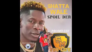 Shatta Wale - Spoil Der - Promo Use
