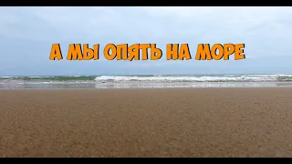 Море, гитара, пианино, укулеле