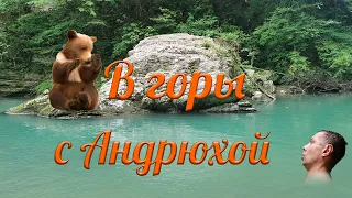 В горы с Андрюхой. Тисо-самшитовая роща. Хоста. Сочи.