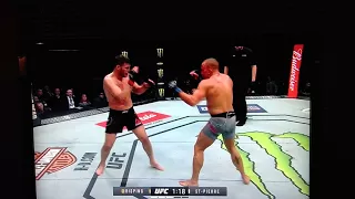 Georges St Pierre vs Michael Bisping