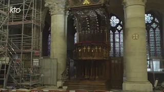 Menuisiers : la restauration du bois au coeur de Notre-Dame de Paris