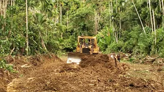 Good Job CAT D6R XL Bulldozer Repairing Residents' Plantation Roads
