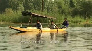 Cleaning Dal lake | Impact of tourism in Srinagar