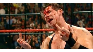 WWE Top 10 Finishers of All Time HD