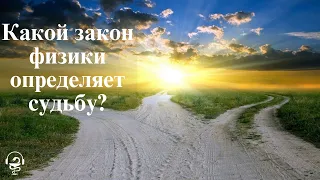 Какой закон физики определяет судьбу