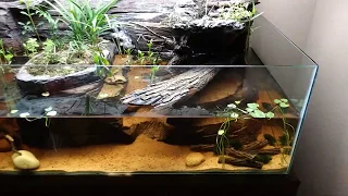 Turtle paludarium