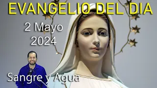 Evangelio Del Dia Hoy - Jueves 2 Mayo 2024- Mis Ovejas Escuchan Mi Voz, Yo las Conosco Sangre y Agua