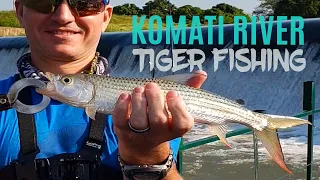 Tiger fishing in the Komati River, South Africa (Apr 2019)