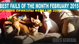 Best Fails of the Month February 2015 JokesGeneral || Лучшие приколы февраля 2015