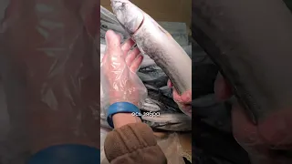 Як вибрати заморожену рибку? 🐟