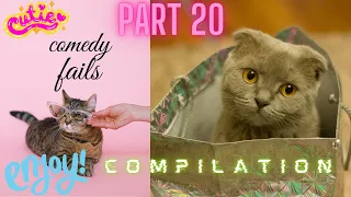 Funny Cats And Dogs FAILS COMEDY videos Compilation. Part 20.