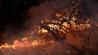 News Update California wildfires: Death toll climbs to 29 13/10/17