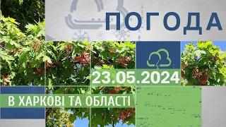 Прогноз погоди в Харкові та Харківській області на 23 травня