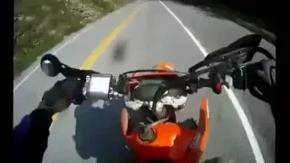 Мотоциклист сбил оленя