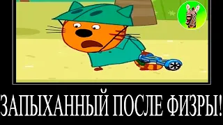 МУД ТРИ КОТА ДЕМОТИВАТОР 139 | ЗАПЫХАННЫЙ ПОСЛЕ ФИЗРЫ!