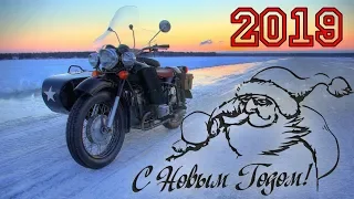 Поздравляю друзей с Новым Годом! 2019