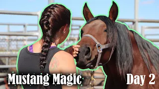 Day 2 with a Wild Mustang | Mustang Magic 2023
