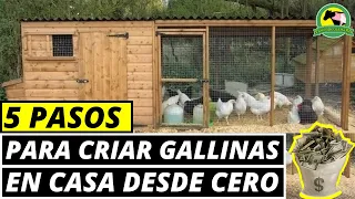 Cómo CRIAR Gallinas Ponedoras En CASA (Paso A Paso)
